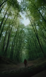 the lone woman is walking through the forrest