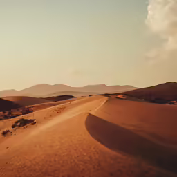 a desert landscape with some hills in the distance