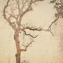 a black and white picture with a lone tree