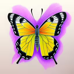 colored pencil illustration of a butterfly with yellow wings,a drawing of a butterfly is on a white surface,a butterfly painted on a white background,an artistic drawing of a yellow and black butterfly,a beautiful yellow and black butterfly is shown