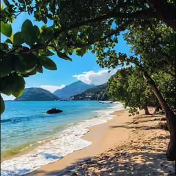 beach scene with trees and rocky shoreline, near water