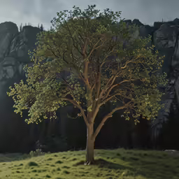 a lone tree stands on a grassy field in front of rocky mountains