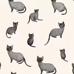 a bunch of cats sitting on the ground