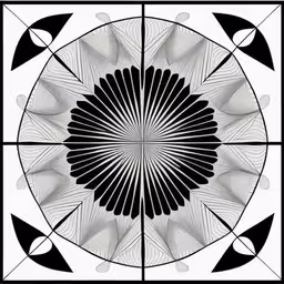 a circular drawing with black lines on it,black and white square with large, intricate lines