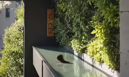 the small bird is laying on a bench beside a tree