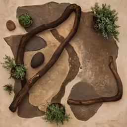 a rock, tree, and plant on top of a sidewalk