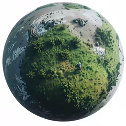 the planet is covered with grass and rocks