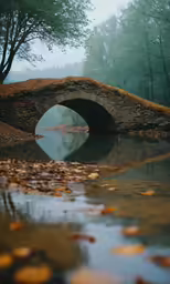 a small stone bridge with leaves in front of it