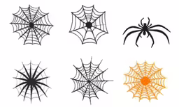 different spider web decorations are on display in the frame