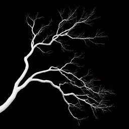 an art work showing a bare tree at night