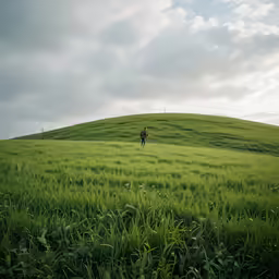there is a man that is standing in the middle of a grassy hill
