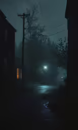 a dark street is pictured with a lamp on