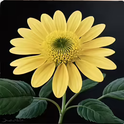 a large flower sitting on top of a plant