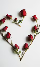 a heart shaped frame made up of red roses