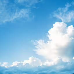 some white clouds in a blue sky and two trees