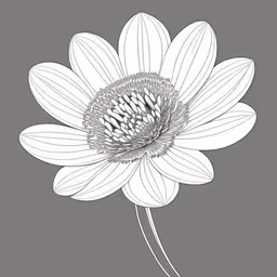 the flower with a drawing effect on it,a black and white flower with a long stem