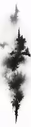 a photograph is displayed in black and white