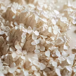 a pile of oats laying on top of each other