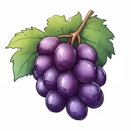 grapes with leaves and green leaves in front