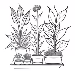 several plants are in different pots on a shelf,a plant with three pots on a shelf