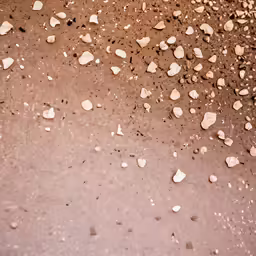 rocks and dirt on a muddy ground