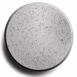 a round white plate with some black dots