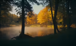 the sun is rising in the forest over the water