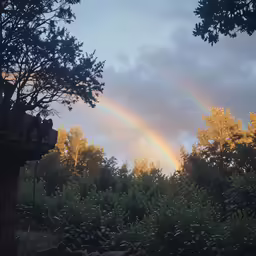 the sky with a rainbow in it and some trees