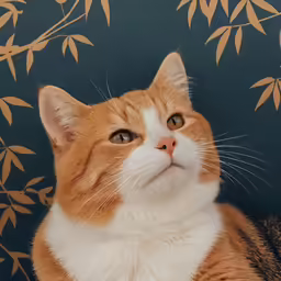 the orange cat is sitting with its eyes closed