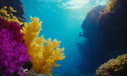 the sun shines brightly on the underwater reef