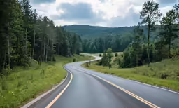 a rural road winding into the woods