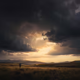 the sun sets on a field with large black clouds above