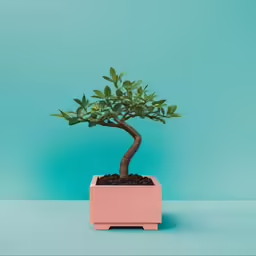small tree with green leaves in light pink planter