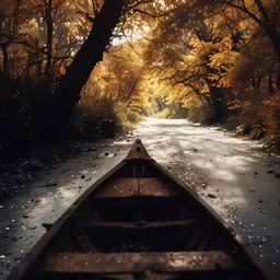 an image of a boat going down the road in the woods