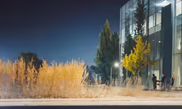a grassy area in front of a large office building