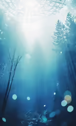 the light of blue colors shine into an abstract picture of trees in a forest