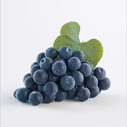 blue grapes with green leaves displayed in front of a white background