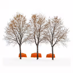 a row of trees in the snow with orange pillows