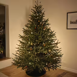 there is a decorated christmas tree with lights