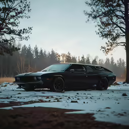 a car is parked on a snowy path