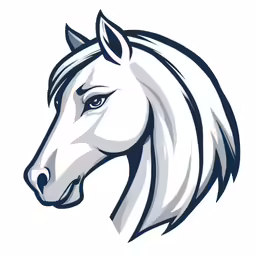 a horse head with a long mane in gray and white colors