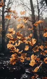there is leaves that are coming out of the branches
