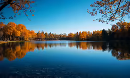 trees and leaves are in front of a lake