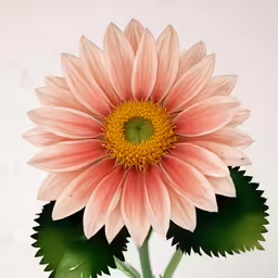 a close up of a flower on the stem