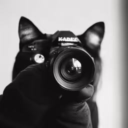 a black and white photo of a cat holding a camera in the air