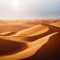 an overview of a desert setting with sand dunes