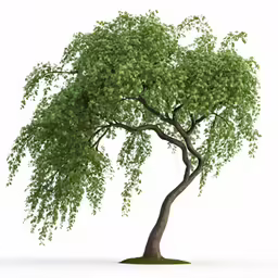 a tree is shown on top of green grass
