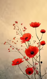 a couple of red flowers in a vase on a table