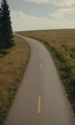 the winding road is lined with little trees