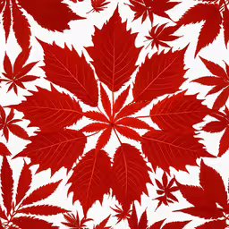 a pattern made up of several red leaves,a large leaf of red, on white background